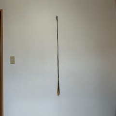 ペットリードと首輪の画像