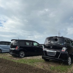 3台まとめて！フリードHVの画像