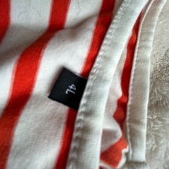 わんちゃん洋服の画像