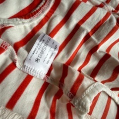 わんちゃん洋服の画像