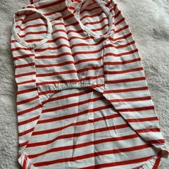 わんちゃん洋服の画像