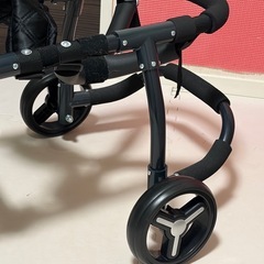 犬　車椅子　介護の画像