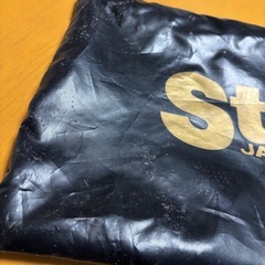 ゴールド　スパイク入れなどに の画像