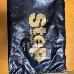 ゴールド　スパイク入れなどに の画像