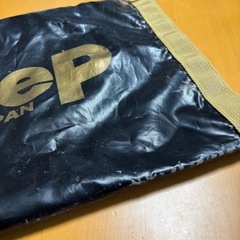 ゴールド　スパイク入れなどに の画像