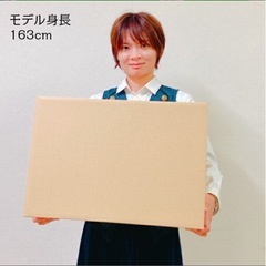 120サイズダンボール(新品)の画像