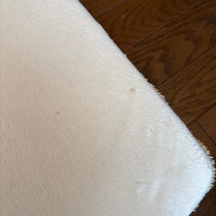 食パンイスの画像