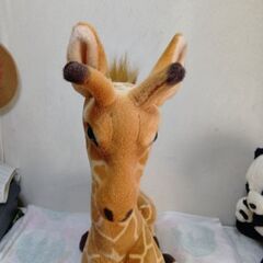 特大キリン＆親子パンダぬいぐるみセットの画像