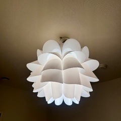 天井照明 ホワイトの画像