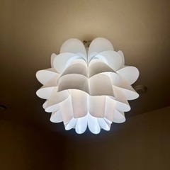 天井照明 ホワイトの画像