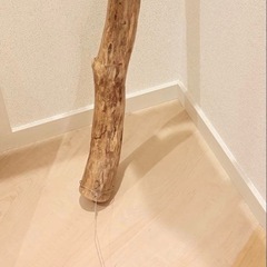 限定価格　流木 　インテリア 工作素材の画像