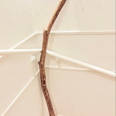 限定価格　流木 　インテリア 工作素材の画像