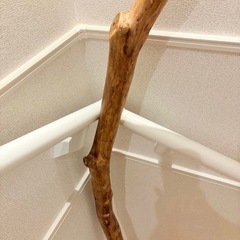 限定価格　流木 　インテリア 工作素材の画像