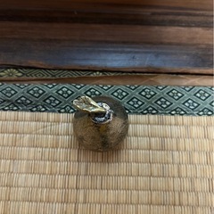 洋梨型 調味料入れの画像