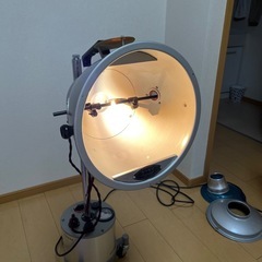 サナモアの画像