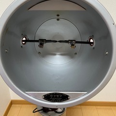 サナモアの画像