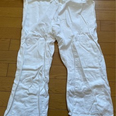 【猫飼い】柔道着の画像