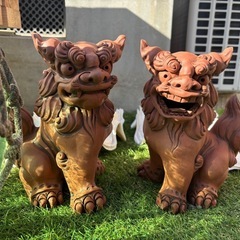 シーサー2体＋浮き玉（大）＋シャコ貝（大）2枚セットの画像