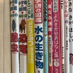 子供の絵本21冊まとめ売りの画像