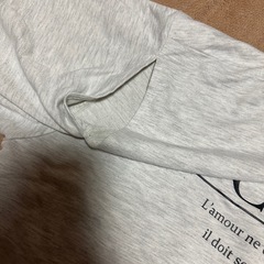 フロントプリント スウェット（トレーナー） Fサイズ シミ・毛玉ありの画像