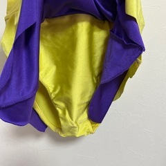 衣装 レオタードの画像