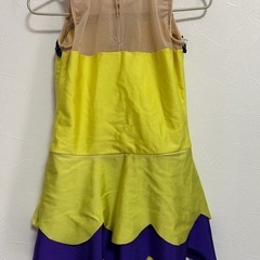 衣装 レオタードの画像