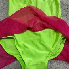 衣装 レオタードの画像