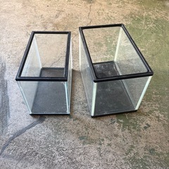 水槽あげますの画像