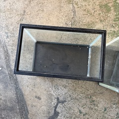 水槽あげますの画像