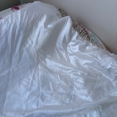 Rady サテンフリンジ付きシルバー掛け布団カバーの画像