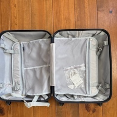 機内持ち込み可‼️キャリーバックの画像