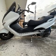 マジェスティ125の画像