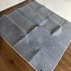 電気カーペットの画像