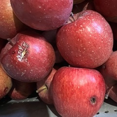 訳あり サンふじ 大きいキズなどがあるため加工用での取引でお願いします！の画像