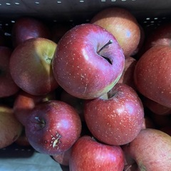 訳あり サンふじ 大きいキズなどがあるため加工用での取引でお願いします！の画像