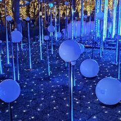 忘年会参加者募集