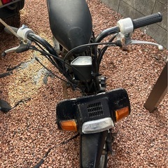 お話し中　ホンダ　スカッシュ　の画像