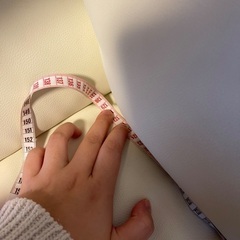 ソファー(クッションはつきません)の画像