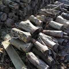 薪丸太３の画像