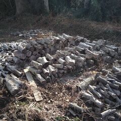 薪丸太３の画像