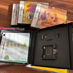 昔のDS中身がないの画像