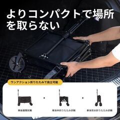 キャリーカート 折りたたみ式 耐荷重100ｋｇ コンパクトサイズ ブラックの画像
