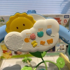 プーメリー　新型の画像