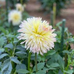 誰にも言えない「もう疲れた」を受け止めます。