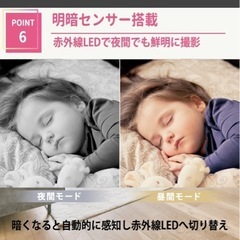 見守りカメラの画像