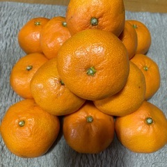 りんご、みかんの画像