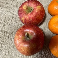 りんご、みかんの画像