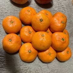 りんご、みかんの画像