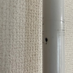 【差し上げます】突っ張り棚の画像