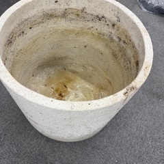 鉢の画像